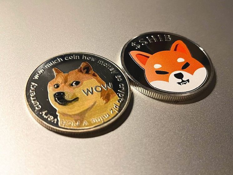 هل تشهد DOGE انتعاشاً وسط هدوء قطاع عملات الميم؟ اكتشف الآن!