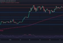 تحليل سعر البيتكوين: إليك أول دعم حرج إذا انخفضت بيتكوين تحت 60 ألف دولار