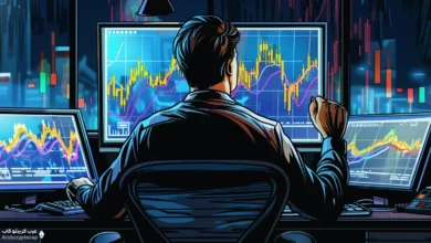 نسبة شارب: قياس العائد بالنسبة للمخاطر (Sharpe Ratio)