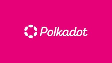 مجتمع Polkadot يزدهر بحوكمة نشطة ونمو المنتدى - انضم الآن!