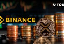 92 مليون XRP مسحوبة من Binance بعد ارتفاع السعر – اكتشف التفاصيل!