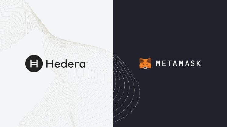 استكشف تكامل هيديرا الجديد مع MetaMask وميزاته المتقدمة