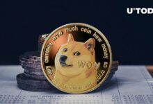 إثارة جيش الدوجكوين تعود بقوة مع إمكانية دفع Dogecoin على X، اكتشف التفاصيل هنا!