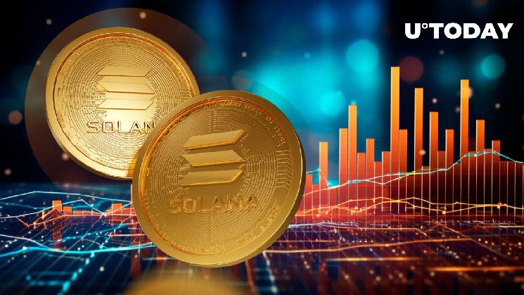 سيطرة عملات الميم على حجم تداول سولانا (SOL) في منصات DEX، اكتشف التفاصيل الآن!