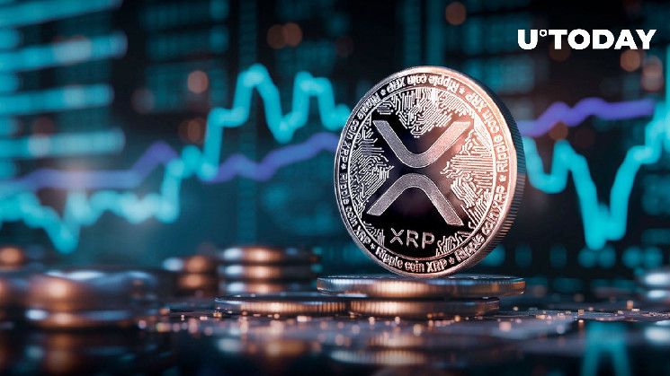 ارتفاع حجم XRP بنسبة 170% وسط انهيار سوق بقيمة 281 مليون دولار - اقرأ التفاصيل الآن!