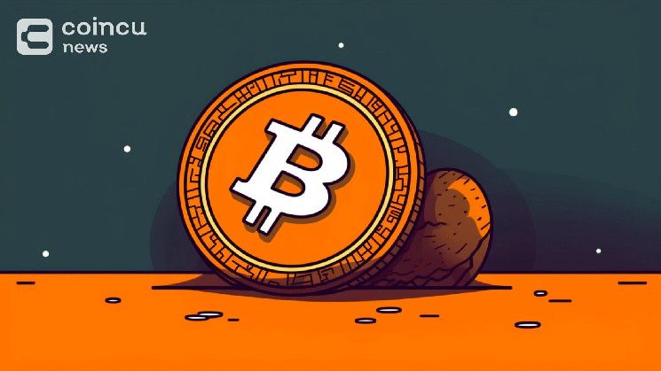 محافظ حيتان البيتكوين التي تزيد عن 1000 BTC تقترب من أعلى مستوى قياسي جديد - اكتشف المزيد!