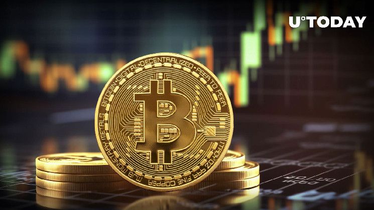 البيتكوين تهيمن بربحية 86٪ من حامليها، الإيثيريوم وعملات الميم تقترب من المنافسة | اكتشف التفاصيل الآن