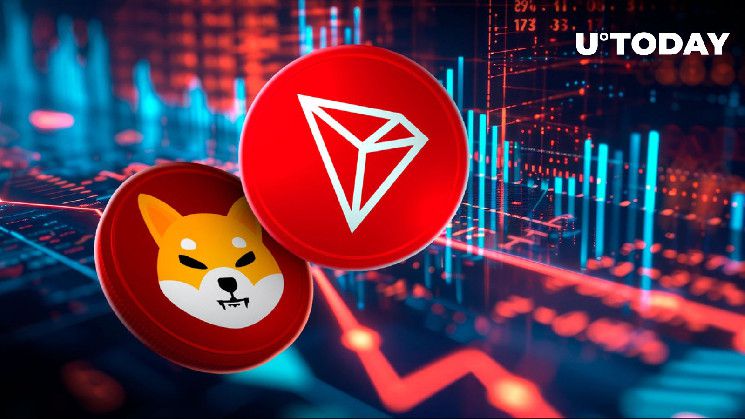 ترون (TRX) يتفوق على شيبا إينو (SHIB) في تحول سوقي جديد