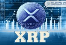 تجنب الاستثمار في XRP قد يكون أكبر خطأ: خبير