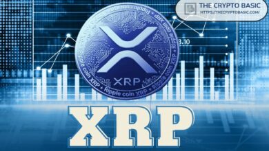 تجنب الاستثمار في XRP قد يكون أكبر خطأ: خبير