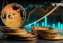 عملات دوجكوين (DOGE) تقفز بنسبة 38% في حجم التداول - اكتشف السبب