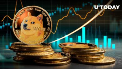 عملات دوجكوين (DOGE) تقفز بنسبة 38% في حجم التداول - اكتشف السبب