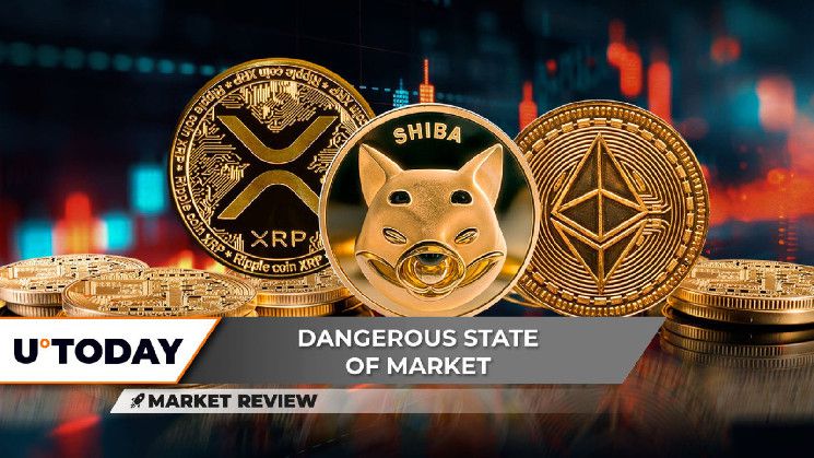 هل بدأ صعود XRP؟ شيبا إينو (SHIB) قد تصل إلى $0.00002: إليك الطريقة، إيثيريوم (ETH) يبدأ في اكتساب القوة