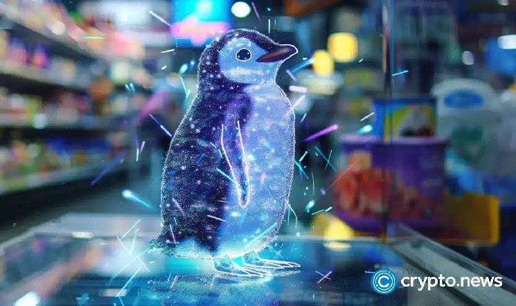 من فكرة طلابية إلى منظومة متكاملة: اكتشف مجموعة NFT من Pudgy Penguins