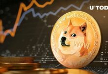 دوجكوين (DOGE) قد يرتفع 10 أضعاف إلى 1 دولار إذا حدث هذا