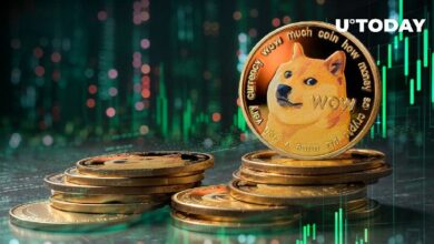 دوجكوين (DOGE) يصل إلى 90 مليون عنوان: التفاصيل الكاملة