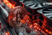 نهاية استسلام مُعدِّني البيتكوين (BTC): هل ستنتهي يوماً ما؟ تعرف الآن!