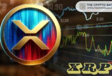 XRP يتراجع في تصنيف إمكانية ETF من GSR بسبب مشكلات المركزية - اكتشف التفاصيل