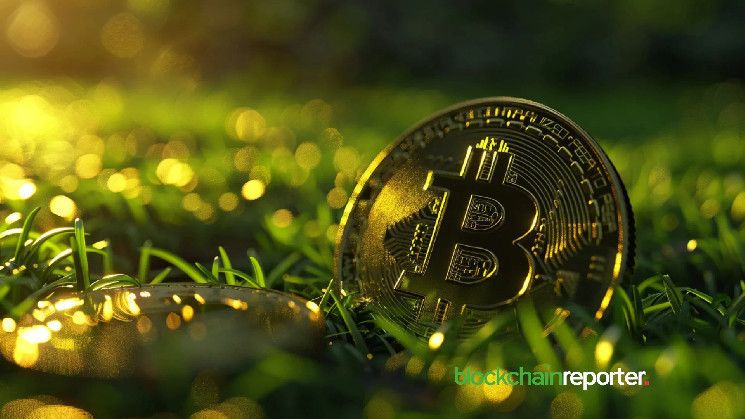 ارتفاع خسائر البيتكوين المحققة إلى 6.7 مليون دولار أسبوعياً - اكتشف الأسباب الآن!