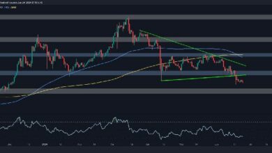 تحليل سعر بولكادوت: المستويات الحرجة التي يجب مراقبتها بعد انخفاض أسبوعي بنسبة 8%