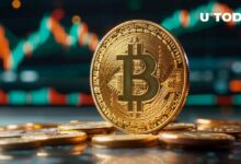 ما الذي يحدث مع بيتكوين (BTC): مخطط إعادة التراكم لـ وايكوف - اكتشف المزيد!