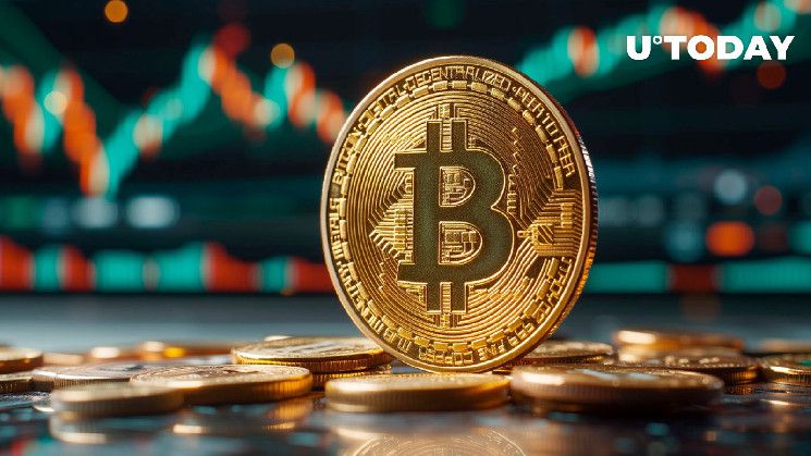 ما الذي يحدث مع بيتكوين (BTC): مخطط إعادة التراكم لـ وايكوف - اكتشف المزيد!