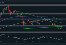 تحليل سعر بولكادوت: ما هو الاتجاه التالي لـ DOT بعد فقدان مستوى 6 دولارات؟