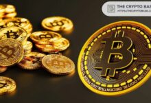 إرتفاع حيازة الحكومة الألمانية من البيتكوين إلى أكثر من 3 مليار دولار رغم بيع 3 آلاف BTC - اكتشف التفاصيل الآن!