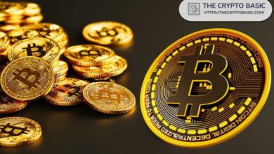 إرتفاع حيازة الحكومة الألمانية من البيتكوين إلى أكثر من 3 مليار دولار رغم بيع 3 آلاف BTC - اكتشف التفاصيل الآن!