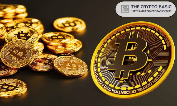 إرتفاع حيازة الحكومة الألمانية من البيتكوين إلى أكثر من 3 مليار دولار رغم بيع 3 آلاف BTC - اكتشف التفاصيل الآن!