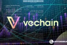 قمة VeChain HiVe وشبكات Nubila ستبرز إمكانيات DePIN وإنترنت الأشياء بتحفيز من قوة البلوكشين