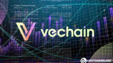 قمة VeChain HiVe وشبكات Nubila ستبرز إمكانيات DePIN وإنترنت الأشياء بتحفيز من قوة البلوكشين