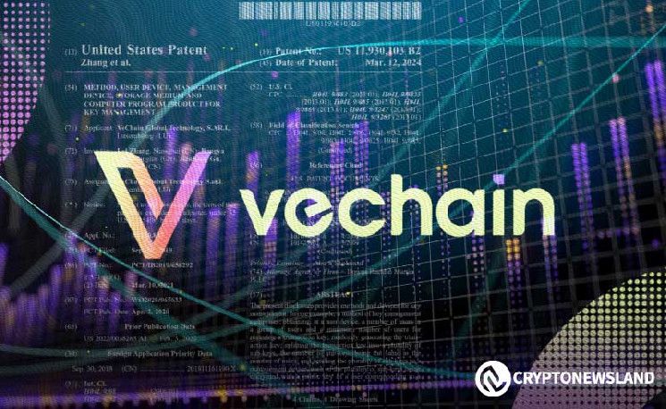 قمة VeChain HiVe وشبكات Nubila ستبرز إمكانيات DePIN وإنترنت الأشياء بتحفيز من قوة البلوكشين