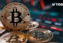 تدفق 7,130 بيتكوين (BTC) إلى المحافظ الكبيرة يسجل رقماً قياسياً جديداً - اكتشف المزيد!