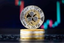 هل سيؤدي نشاط بيع XRP على المكشوف إلى ارتفاع صاروخي؟ اقرأ المزيد!