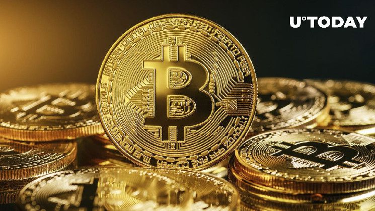 تحرك 11,358 بيتكوين (BTC) في ساعة واحدة – اكتشف الحقيقة الآن!