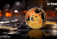 25 مليون دوجكوين (DOGE) في 24 ساعة، هل وصل السوق إلى القاع؟ اكتشف الآن!