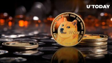 25 مليون دوجكوين (DOGE) في 24 ساعة، هل وصل السوق إلى القاع؟ اكتشف الآن!