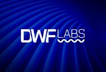 ما هي العملات البديلة التي يستثمر فيها صانع السوق المثير للجدل DWF Labs؟ اكتشف أعلى الأصول مرتبة