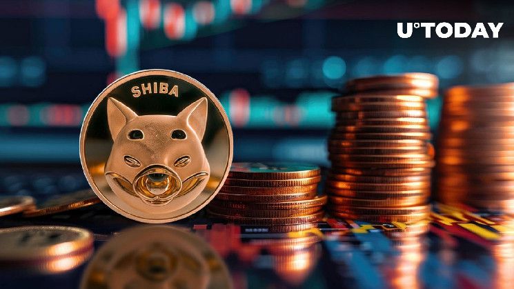 شيبا إينو تدخل لحظة حاسمة مع 416 تريليون SHIB بانتظارك