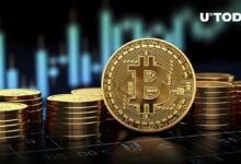 سعر البيتكوين (BTC) مرشح للوصول إلى ATH جديدة في 2024: تقرير