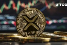 3.6 مليار XRP في 24 ساعة، ما الذي يحدث؟