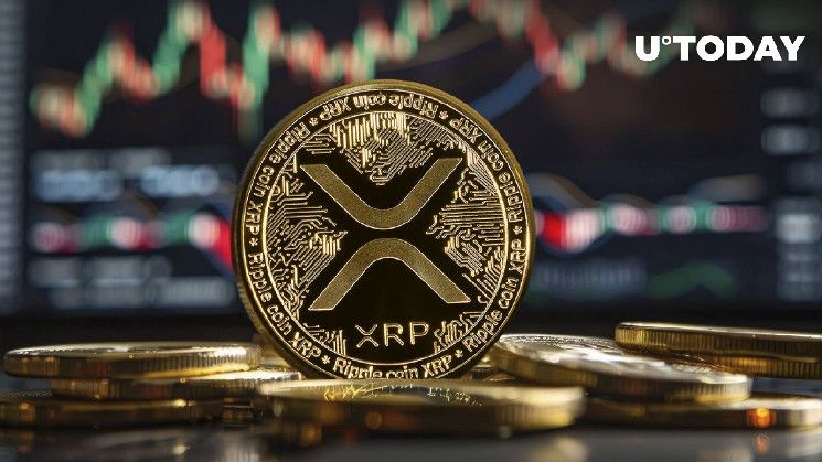 3.6 مليار XRP في 24 ساعة، ما الذي يحدث؟