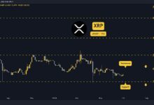 توقعات سعر الريبل (XRP) لهذا الأسبوع: 3 أمور تترقبها الآن