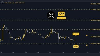 توقعات سعر الريبل (XRP) لهذا الأسبوع: 3 أمور تترقبها الآن