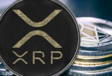 ارتفاع تبني ونشاط XRP: ماذا يعني ذلك للسعر؟