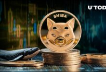 اختفاء حيتان شيبا إينو (SHIB) وانخفاضه بنسبة 15% – اكتشف الأسباب الآن!