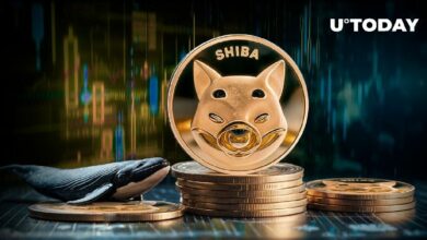 اختفاء حيتان شيبا إينو (SHIB) وانخفاضه بنسبة 15% – اكتشف الأسباب الآن!