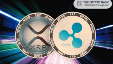 إليك لماذا قد يكون يوليو حاسمًا لريبل وXRP