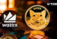 ارتفاع سعر SHIB بعد بيع جميع الرموز من قبل مخترق WarizX - اكتشف التفاصيل!